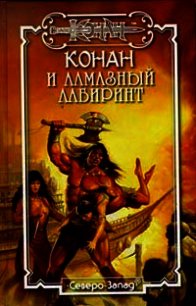 Алмазный лабиринт - Локнит Олаф Бьорн (книги онлайн без регистрации txt) 📗