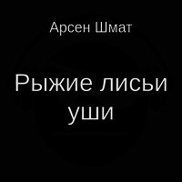 Рыжие лисьи уши - Шмат Арсен Станиславович (книги онлайн полностью txt) 📗