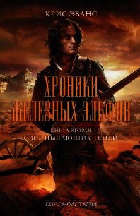 Свет пылающих теней - Эванс Крис (читаем книги онлайн бесплатно полностью без сокращений txt) 📗