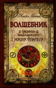 Волшебник - Скотт Майкл (книги бесплатно читать без .TXT) 📗