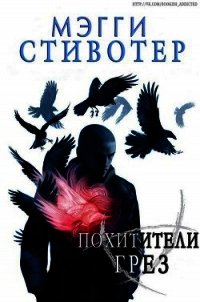 Похитители грез (ЛП) - Стивотер Мэгги (лучшие книги TXT) 📗