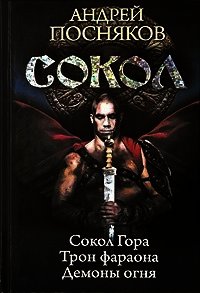 Сокол. Трилогия - Посняков Андрей (книги онлайн бесплатно .txt) 📗