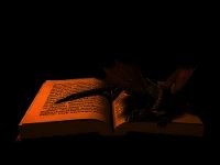 Когда расцветет роза (СИ) - "Gekko" (читаемые книги читать онлайн бесплатно .txt) 📗