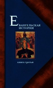 Евангельская история. Книга III - Протоиерей (Матвеевский) Павел Алексеевич (книги хорошего качества .txt) 📗