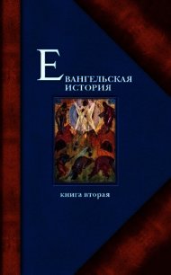 Евангельская история. Книга II - Протоиерей (Матвеевский) Павел Алексеевич (читать книги онлайн бесплатно полностью без .txt) 📗