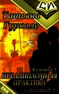 Преддипломная практика (СИ) - Гуркало Татьяна Николаевна (читаем книги онлайн бесплатно без регистрации .txt) 📗