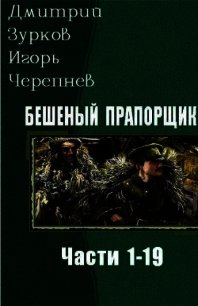 Бешеный прапорщик. Бешеный прапорщик части 22. Бешеный прапорщик похожие книги. Бешеный прапорщик 5 часть. Дмитрий Зурков бешеный прапорщик часть 22.