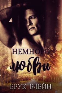 Немного любви (ЛП) - Блейн Брук (читать полные книги онлайн бесплатно TXT) 📗