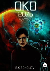 ОКО:2075. Часть 1 (СИ) - Соколов Евгений Геннадьевич (читаем бесплатно книги полностью txt) 📗