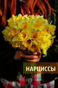 Нарциссы (СИ) - "Scarlet Heath" (книги онлайн бесплатно без регистрации полностью .txt) 📗