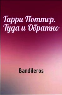 Гарри Поттер. Туда и Обратно (СИ) - Бандильерос Ганс "Bandileros" (читать книги онлайн бесплатно полностью без сокращений TXT) 📗