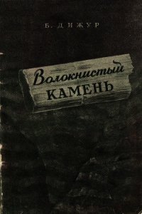 Волокнистый камень - Дижур Белла Абрамовна (лучшие книги онлайн .TXT) 📗