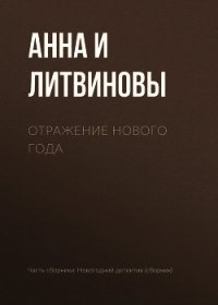 Отражение Нового года - Литвиновы Анна и Сергей (серия книг txt) 📗