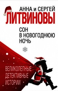 Сон в новогоднюю ночь (сборник) - Литвиновы Анна и Сергей (читать хорошую книгу TXT) 📗