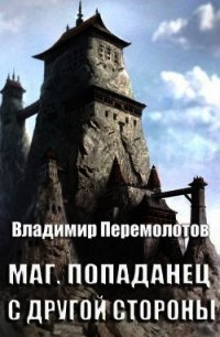 Маг. Попаданец с другой стороны (СИ) - Перемолотов Владимир Васильевич (читаем полную версию книг бесплатно .txt) 📗