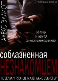 Соблазненная незнакомцем (ЛП) - Эллиотт Алекс (книги серии онлайн .txt) 📗