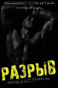 Разрыв (ЛП) - Слейтер Феникс (читаемые книги читать онлайн бесплатно txt) 📗