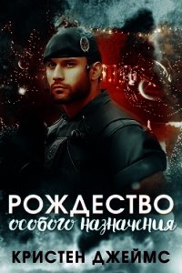 Рождество особого назначения (ЛП) - Джеймс Кристен (книга регистрации .txt) 📗