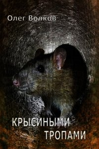 Крысиными тропами (СИ) - Волков Олег Александрович "volkov-o-a" (читать книги онлайн без сокращений TXT) 📗