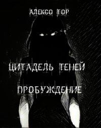 Цитадель Теней. Пробуждение (СИ) - Тор Алексо (читать полностью бесплатно хорошие книги txt) 📗