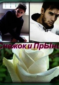 Снежок и Прынц (СИ) - Финенко Наталья Александровна "Ната04" (книги бесплатно читать без txt) 📗