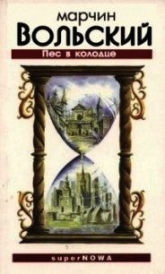 Пес в колодце (ЛП) - Вольский Марчин (читать книги онлайн бесплатно полные версии .TXT) 📗