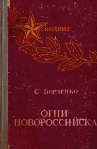 Огни Новороссийска (Повести, рассказы, очерки) - Борзенко Сергей Александрович (книги онлайн полные версии txt) 📗