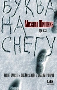 Буква на снегу - Шишкин Михаил Павлович (книги регистрация онлайн txt) 📗