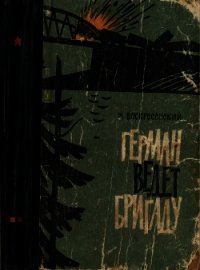 Герман ведёт бригаду (Воспоминания партизана) - Воскресенский Михаил Леонидович (книги онлайн бесплатно без регистрации полностью .TXT) 📗