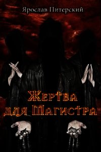 Жертва для магистра (СИ) - Питерский Ярослав Михайлович (читать книги онлайн бесплатно без сокращение бесплатно .txt) 📗