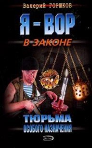 Тюрьма особого назначения - Горшков Валерий Сергеевич (читать книги .txt) 📗